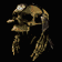 Tancred's Skull