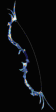 New Hydra Bow ELI